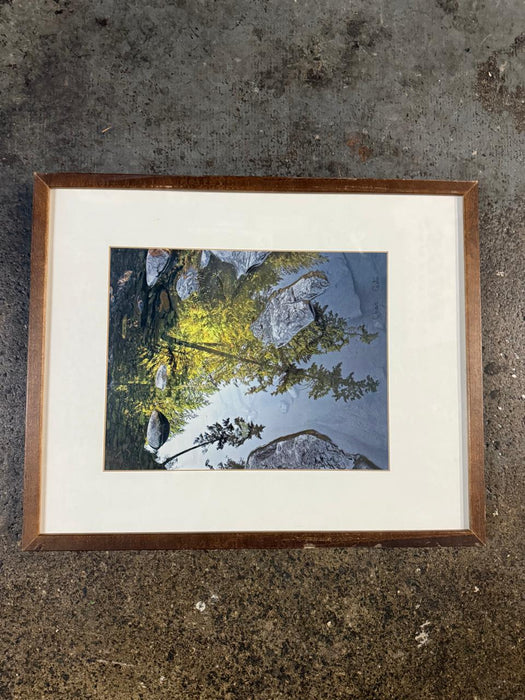 Watercolor painting framed