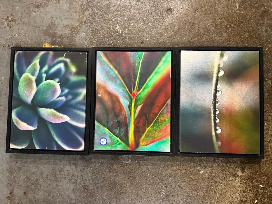 Canvas Printed Frame