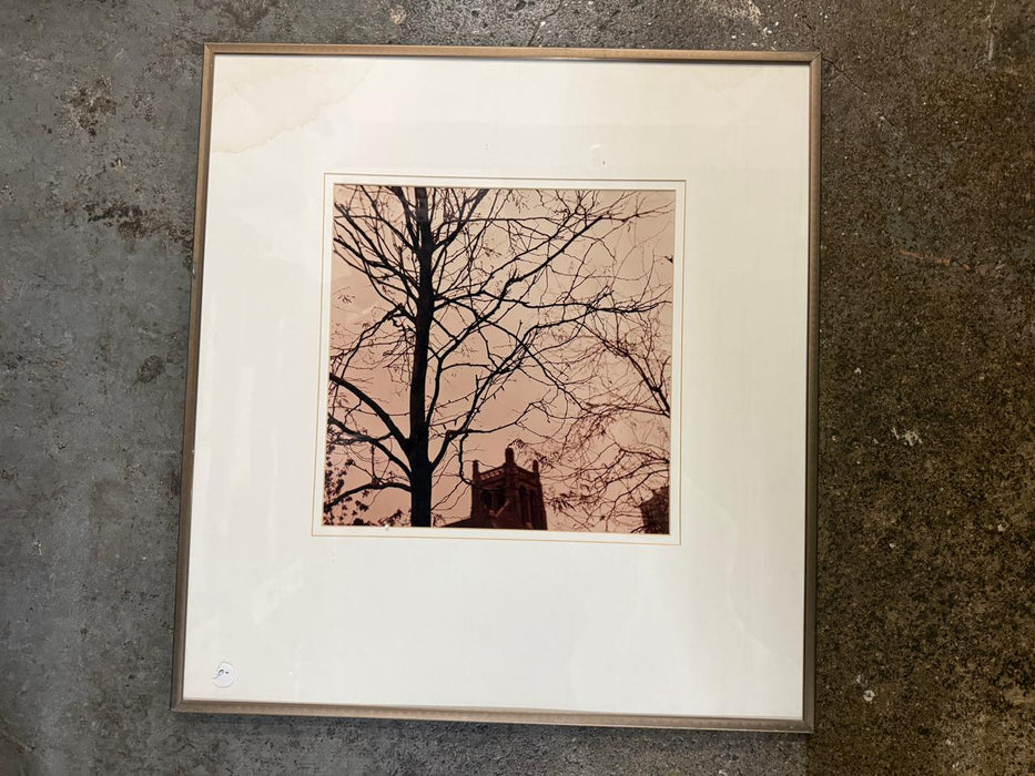 Tree Silhouette Print