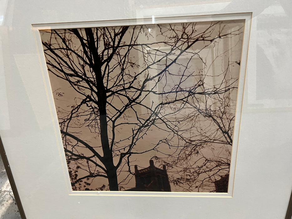 Silhouette Tree Print