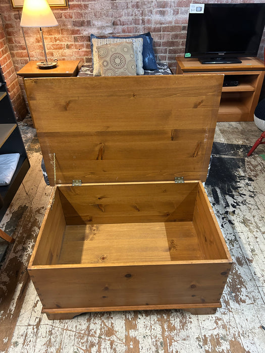 Brown Chest