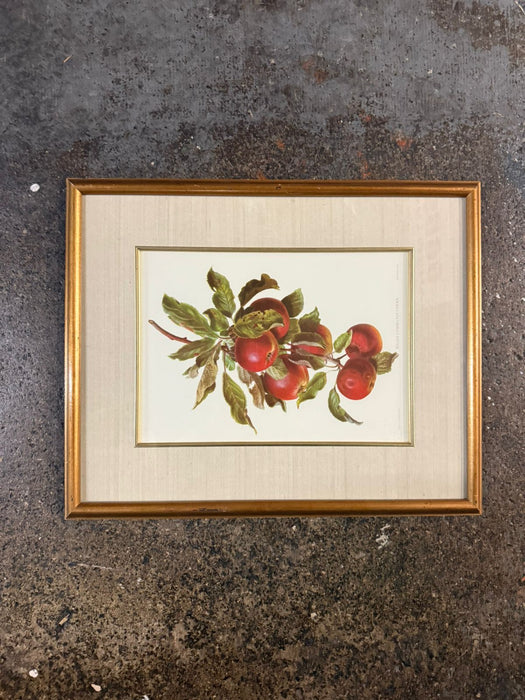 Branch of Apples Framed Art