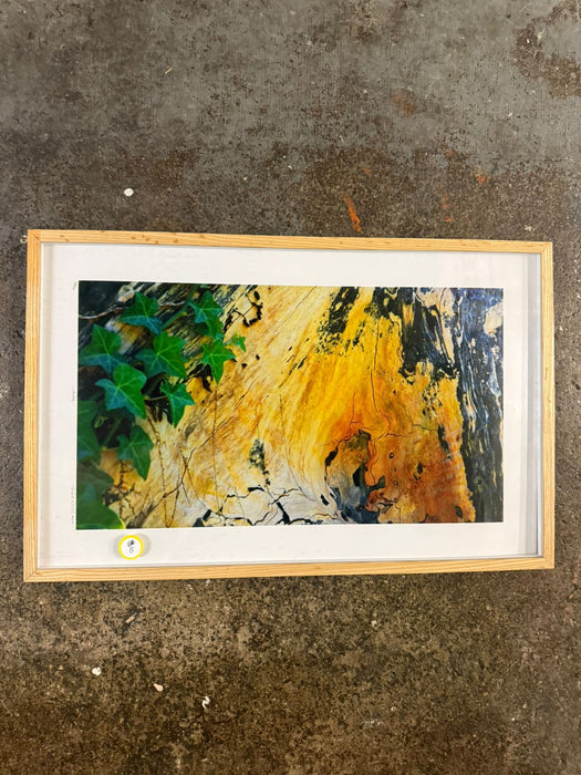 Abstract Framed Art