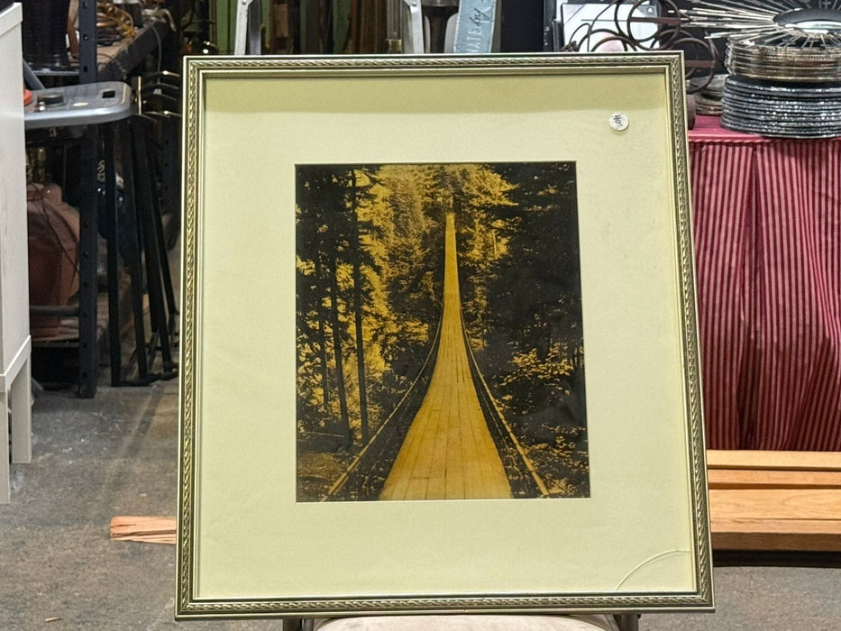 Photograph Of Bridge Leading To Forrest Framed