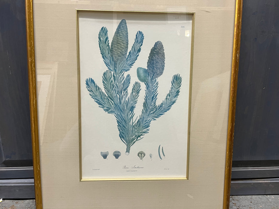 Cactus Gold Framed Artwork